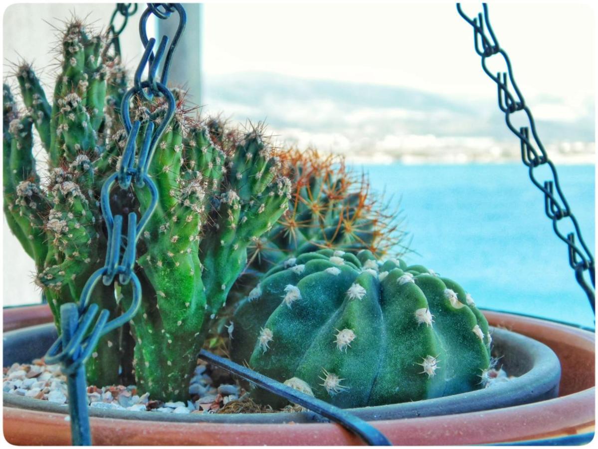 Littlevenice Appartme 50M From Sea Trogir Exterior foto